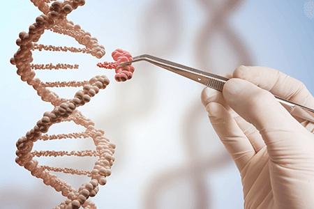 Shutterstock image of gene snip