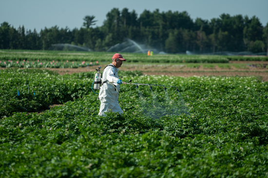 GreenLight field trial spraying RNA pesticide