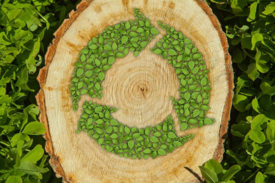 Arbiom wood recycling illustration