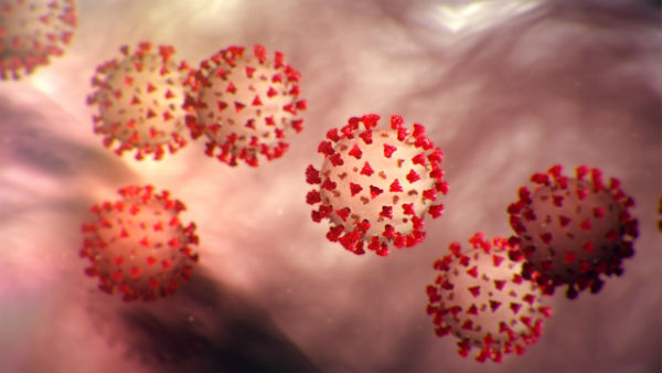CDC photo of coronavirus