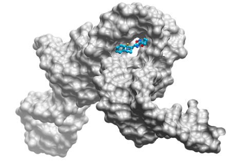 Ribometrix small molecule