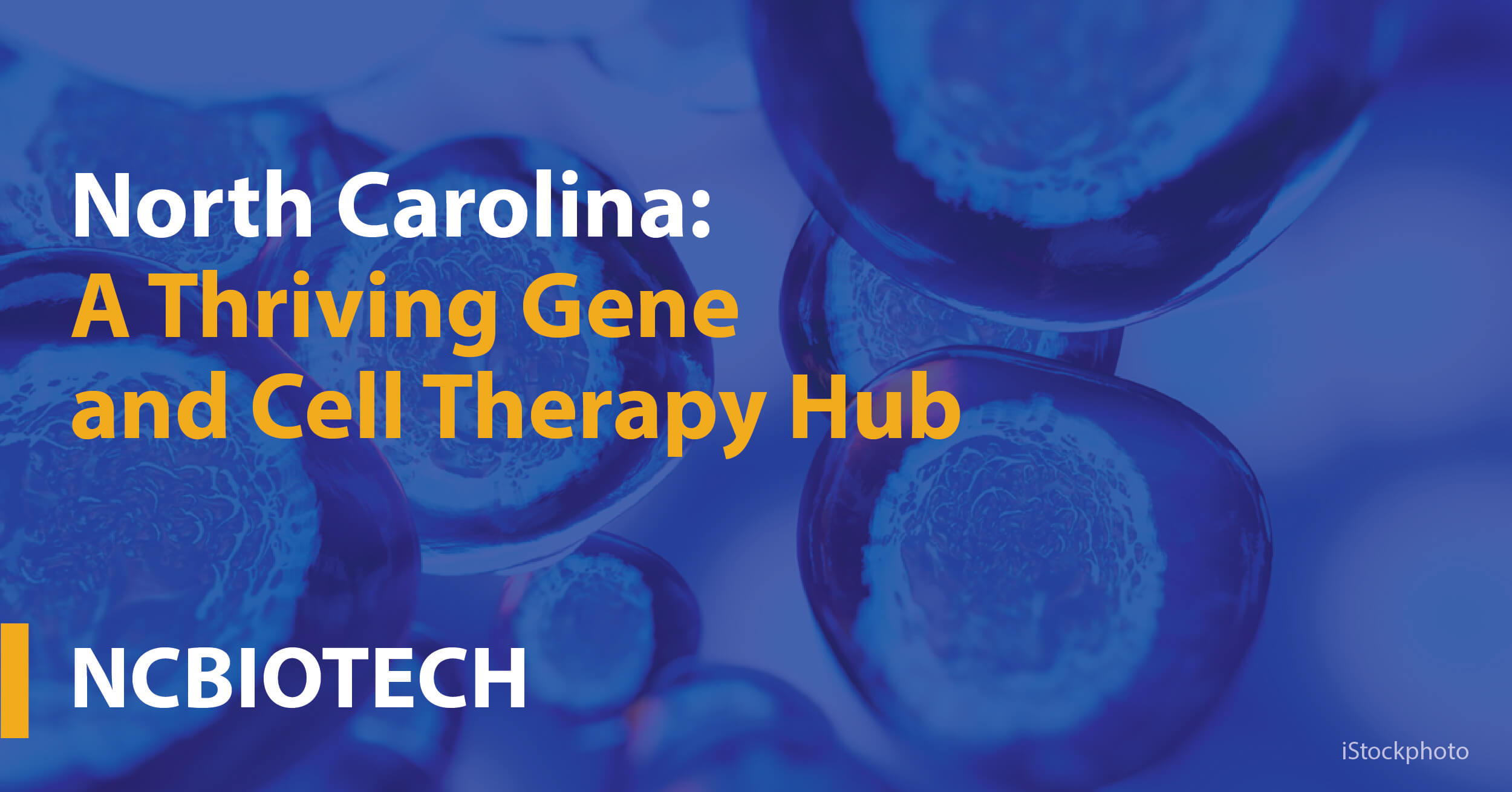 North Carolina Gene and Cell Therapy 