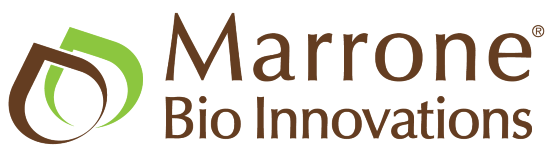 Marrone logo