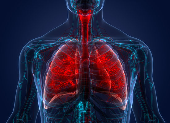 iStock_lungs