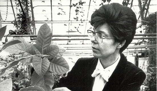 Chilton with plant