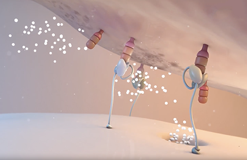 Animation in Cellectis video describing its gene editing