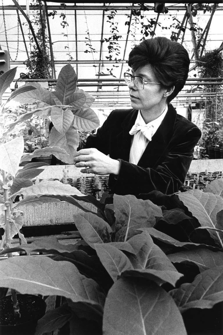 Chilton with plants