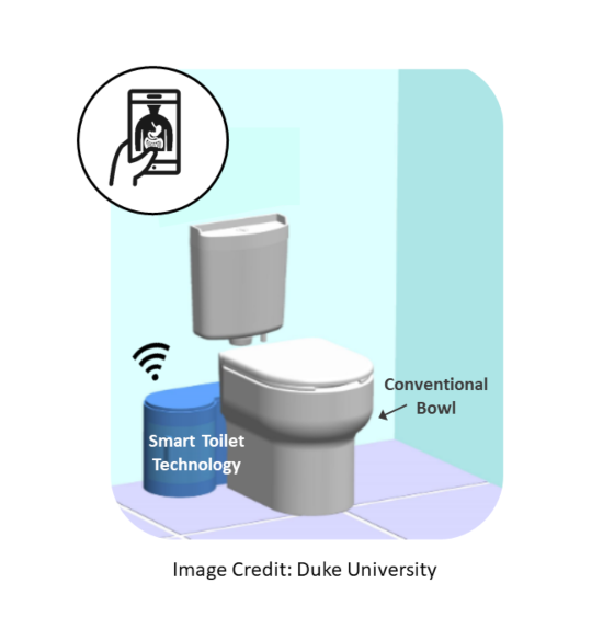 Duke "smart toilet" illustration