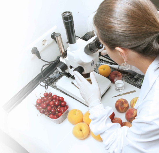 Testing fruit in an AgroFresh research lab. -- AgroFresh photos