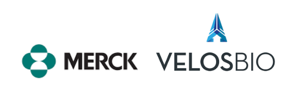 Merck VeloBio logo