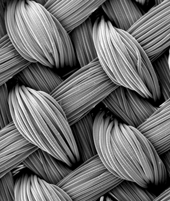 Microscopic view of woven mesh.