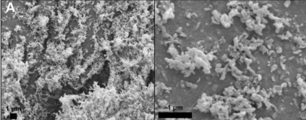 Magnified images of TFF particles.