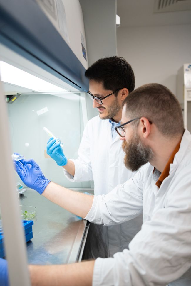 Phytoform lab