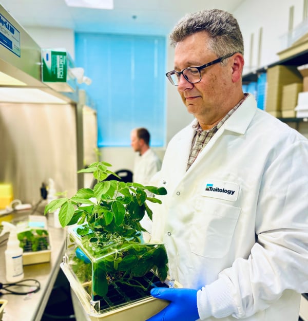 The Traits Co soybean lab