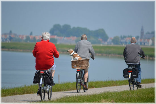 Elderly cyclists