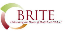Biomanufacturing Research Institute and Technology Enterprise (BRITE)